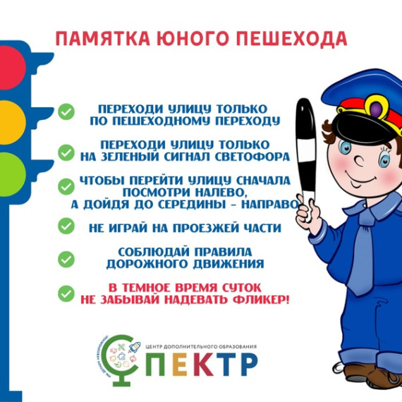 Инструкция по ПДД для пешеходов.